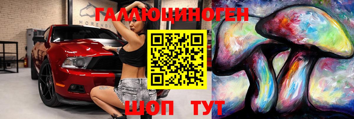 Псилоцибиновые грибы Psilocybe Реж