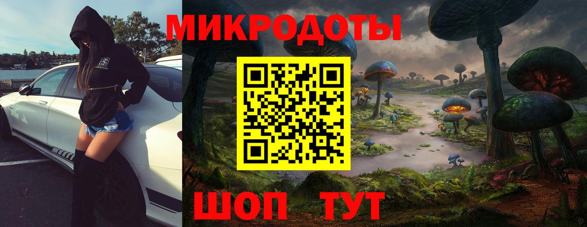 Реж  Галлюциногенные грибы Psilocybe  Вход с VPN 
